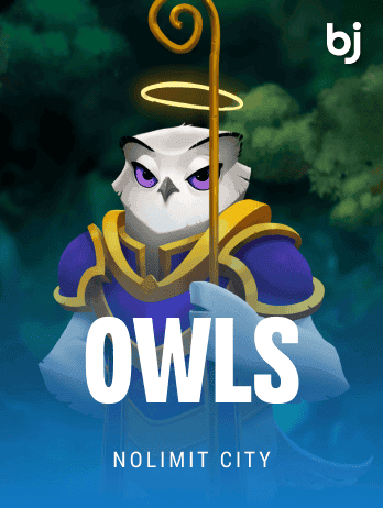Owlspng game cover
